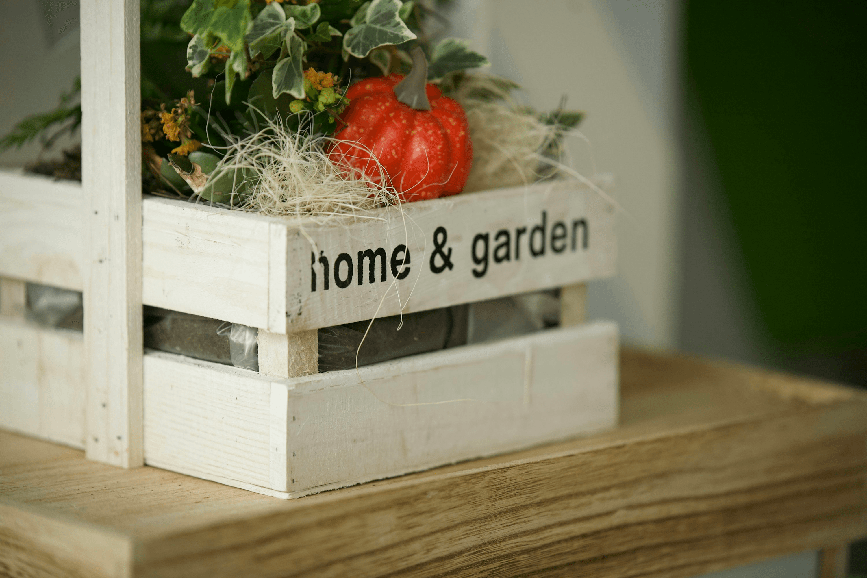 Home & Garden